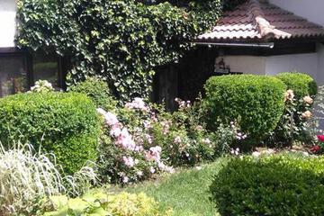 Photo 22