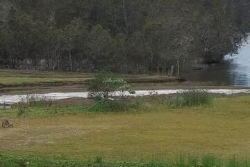 Land view from property