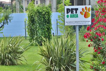 Pet-friendly