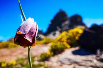 Photo 100