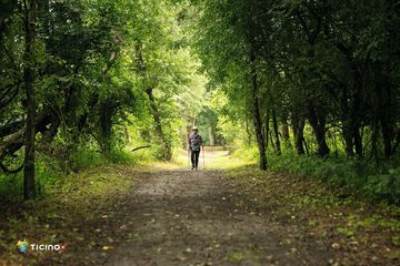 Hiking