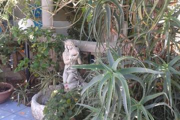 Photo 31