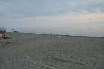 Photo 117