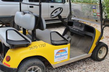 Golf cart