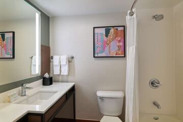 Bathroom shower
