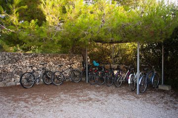 Bicycling