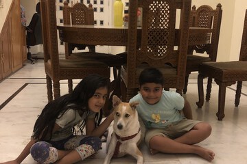 Pet-friendly