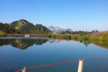 Photo 44