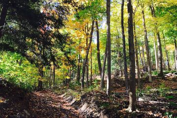 Outdoor Activities 43 of 43