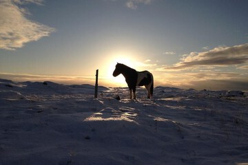 Horseback riding