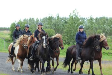 Horseback riding