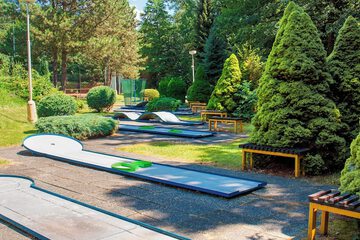 Mini-golf