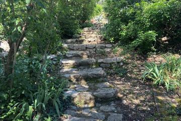 Photo 48