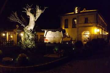 Front of property - evening/night