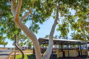 BBQ/picnic area