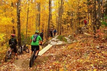 Bicycling