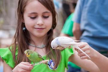 Children's activities