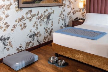 Pet-friendly amenities