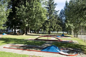 Mini-golf