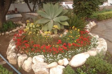 Photo 49