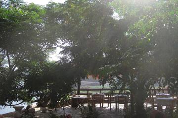 Photo 49