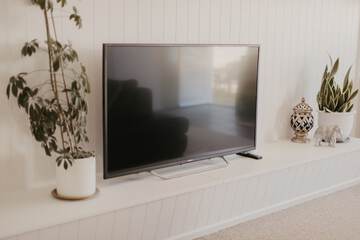 Television