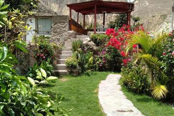 Photo 24