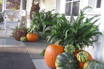 Photo 42