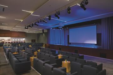 Theater show