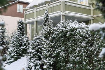 Photo 16