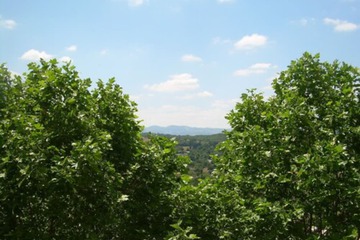 City view from property