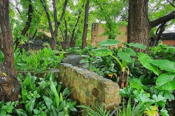 Photo 25