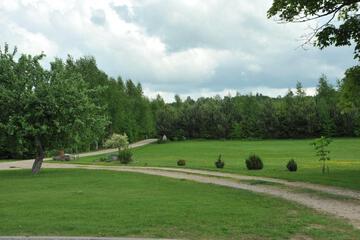 Photo 73