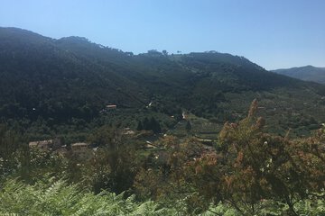 Hiking