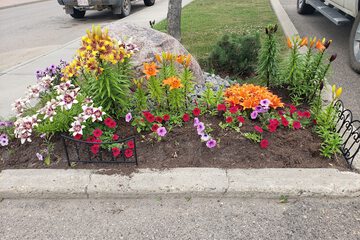 Front of property