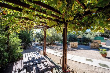 BBQ/picnic area