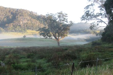 Land view from property
