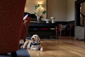 Pet-friendly