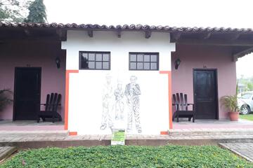 Photo 48