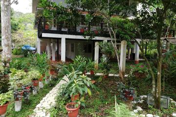 Photo 48