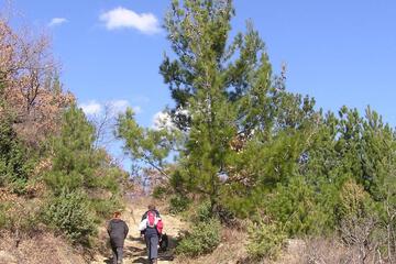 Photo 49
