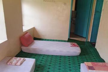 Photo 42