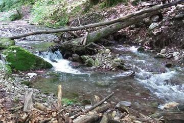 Photo 26