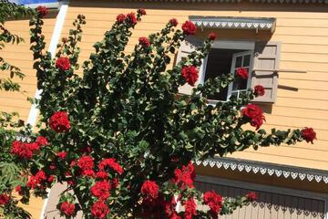 Photo 39
