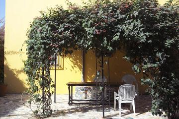Photo 74