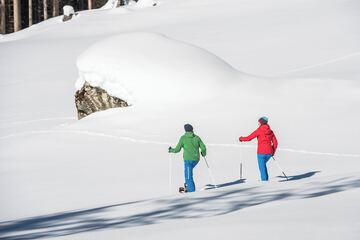 Snowshoeing