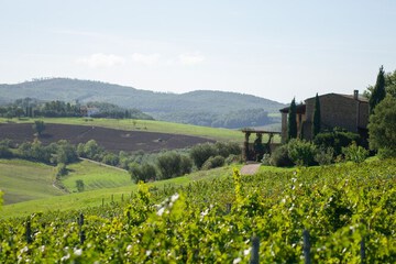 Winery