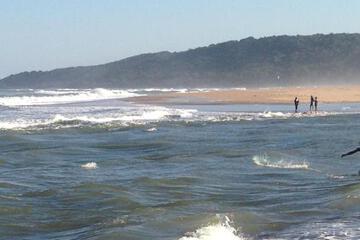 Photo 41