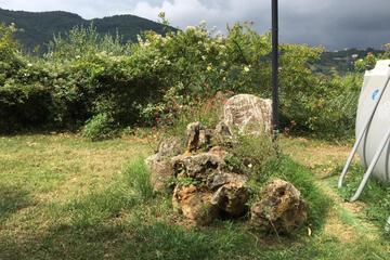 Photo 38