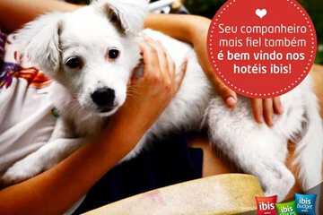 Pet-friendly